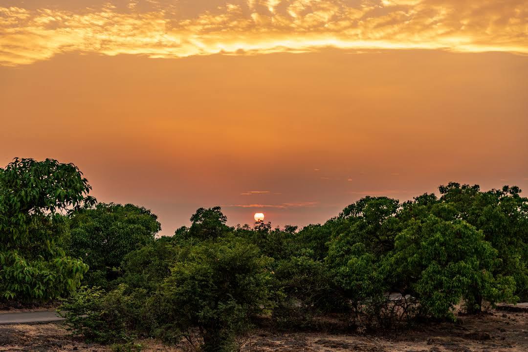 Wilson Point of Sunrise